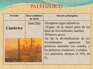 PALEOZOICO
 Período   Hace (millones            Sucesos principales
             de años)

            544-505 -Prosperan algas primitivas
Cámbrico                    -Origen de la mayor parte de los
                            tipos de invertebrados marinos
                            -Primeros peces
                            -Se da la diversificación de los
                            invertebrados:     aparecen     los
                            primeros animales con concha, y
                            los primeros crustáceos y corales.
                            -La atmósfera alcanza el 10% de
                            O2.
 