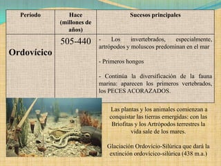 Período       Hace                    Sucesos principales
             (millones de
                años)

             505-440        -    Los     invertebrados,  especialmente,
                            artrópodos y moluscos predominan en el mar
Ordovícico
                            - Primeros hongos

                            - Continúa la diversificación de la fauna
                            marina: aparecen los primeros vertebrados,
                            los PECES ACORAZADOS.

                                Las plantas y los animales comienzan a
                                conquistar las tierras emergidas: con las
                                 Briofitas y los Artrópodos terrestres la
                                         vida sale de los mares.

                               Glaciación Ordovício-Silúrica que dará la
                                extinción ordovícico-silúrica (438 m.a.)
 