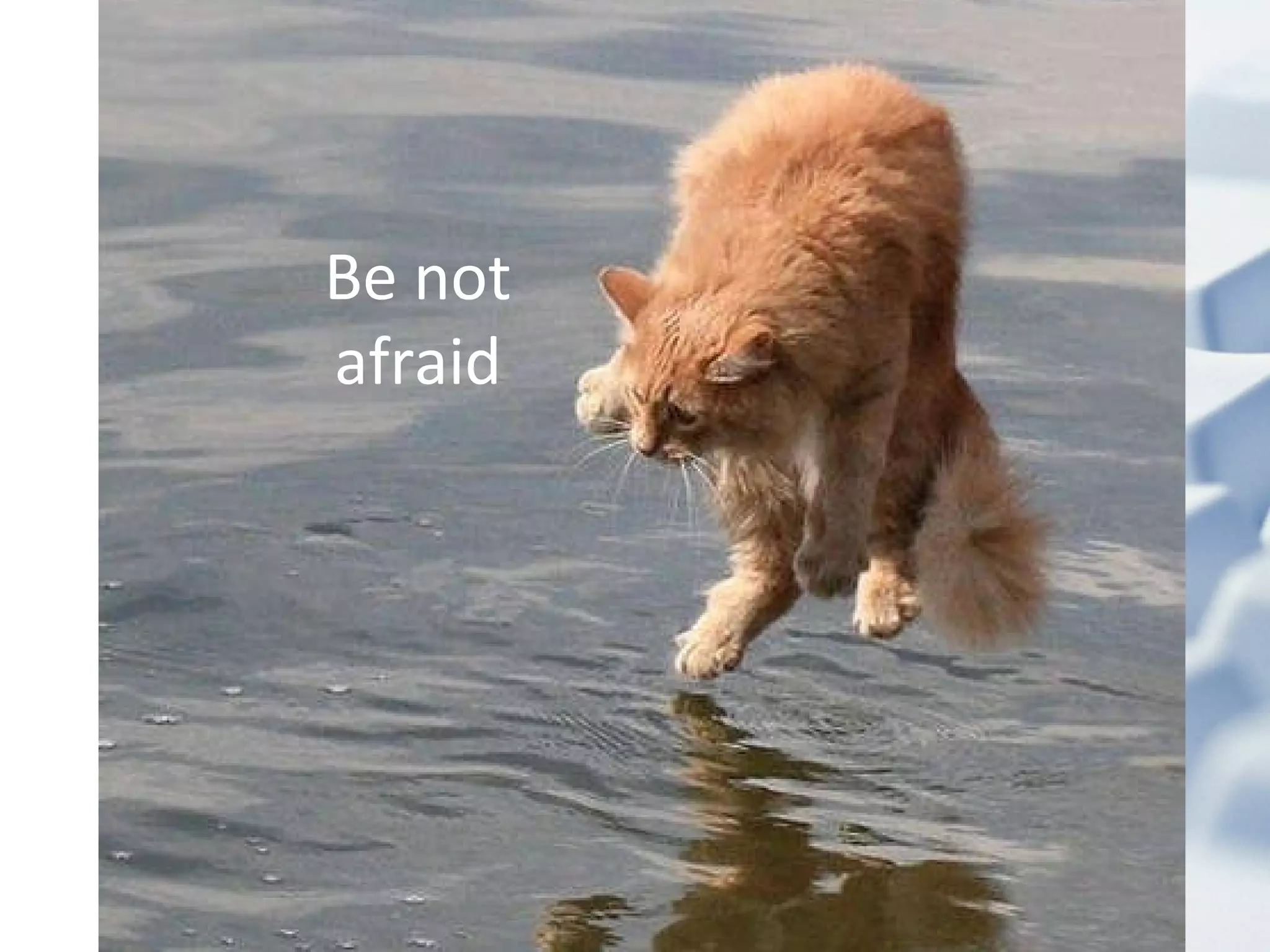 Be not afraid 