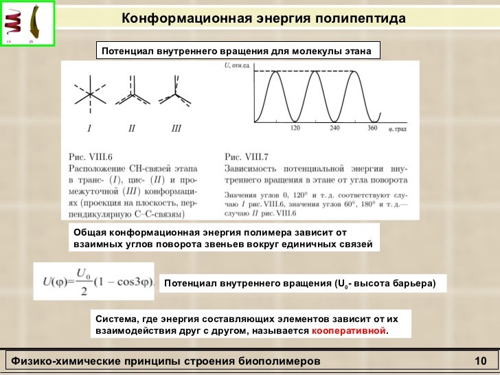Моторные вызванные потенциалы