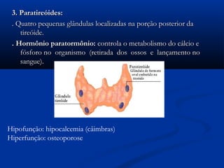 3. Paratireóides:
 . Quatro pequenas glândulas localizadas na porção posterior da
    tireóide.
 . Hormônio paratormônio: controla o metabolismo do cálcio e
    fósforo no organismo (retirada dos ossos e lançamento no
    sangue).




Hipofunção: hipocalcemia (câimbras)
Hiperfunção: osteoporose
 