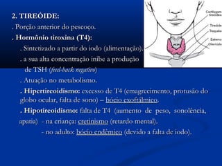 2. TIREÓIDE:
. Porção anterior do pescoço.
. Hormônio tiroxina (T4):
   . Sintetizado a partir do iodo (alimentação).
   . a sua alta concentração inibe a produção
     de TSH (feed-back negativo)
   . Atuação no metabolismo.
   . Hipertireoidismo: excesso de T4 (emagrecimento, protusão do
   globo ocular, falta de sono) – bócio exoftálmico.
   . Hipotireoidismo: falta de T4 (aumento de peso, sonolência,
   apatia) - na criança: cretinismo (retardo mental).
            - no adulto: bócio endêmico (devido a falta de iodo).
 