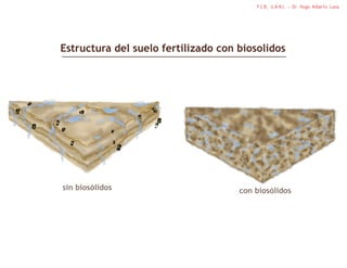 F.C.B., U.A.N.L. - Dr. Hugo Alberto Luna




Estructura del suelo fertilizado con biosolidos




sin biosólidos                       con biosólidos
 