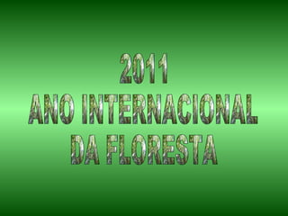2011 ANO INTERNACIONAL DA FLORESTA 