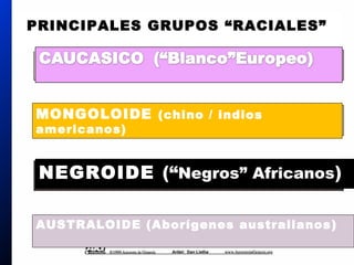 Racial Groups
PRINCIPALES GRUPOS “RACIALES”
AUSTRALOIDE (Aborígenes australianos)
MONGOLOIDE (chino / indios
americanos)
NEGROIDE (“Negros” Africanos)
 