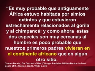 Darwin 1984—racist statement“Es muy probable que antiguamente
África estuvo habitada por simios
extintos y que estuvieron
estrechamente relacionados al gorila
y al chimpancé; y como ahora estas
dos especies son muy cercanas al
hombre es poco probable que
nuestros primeros padres vivieran en
el continente africano que en algun
otro sitio.
Charles Darwin, The Descent of Man (Chicago, Publisher William Benton in Great
Books of the Western World, 1952), p. 336.
 