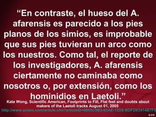 Q 910 Savolainen, et.al“En contraste, el hueso del A.
afarensis es parecido a los pies
planos de los simios, es improbable
que sus pies tuvieran un arco como
los nuestros. Como tal, el reporte de
los investigadores, A. afarensis
ciertamente no caminaba como
nosotros o, por extensión, como los
hominidios en Laetoli.”
Q 910
Kate Wong, Scientific American, Footprints to Fill, Flat feet and doubts about
makers of the Laetoli tracks August 01, 2005
http://www.sciam.com/article.cfm?articleID=0005C9B3-03AE-12D8-BDFD83414B7F0
 