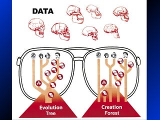 Glasses—data and interp
 