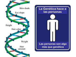 Genetics – More ThanLa Genética hace a
las personas
Las personas son algo
más que genética
 