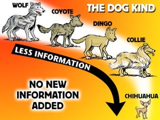 Dog Kind–No New Information
01147
 