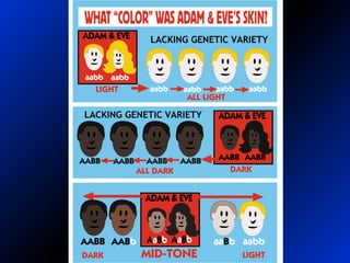 A&E skin color
 