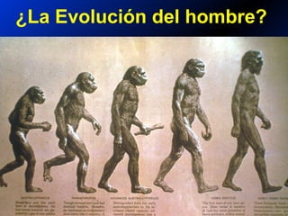 ¿La Evolución del hombre?
 