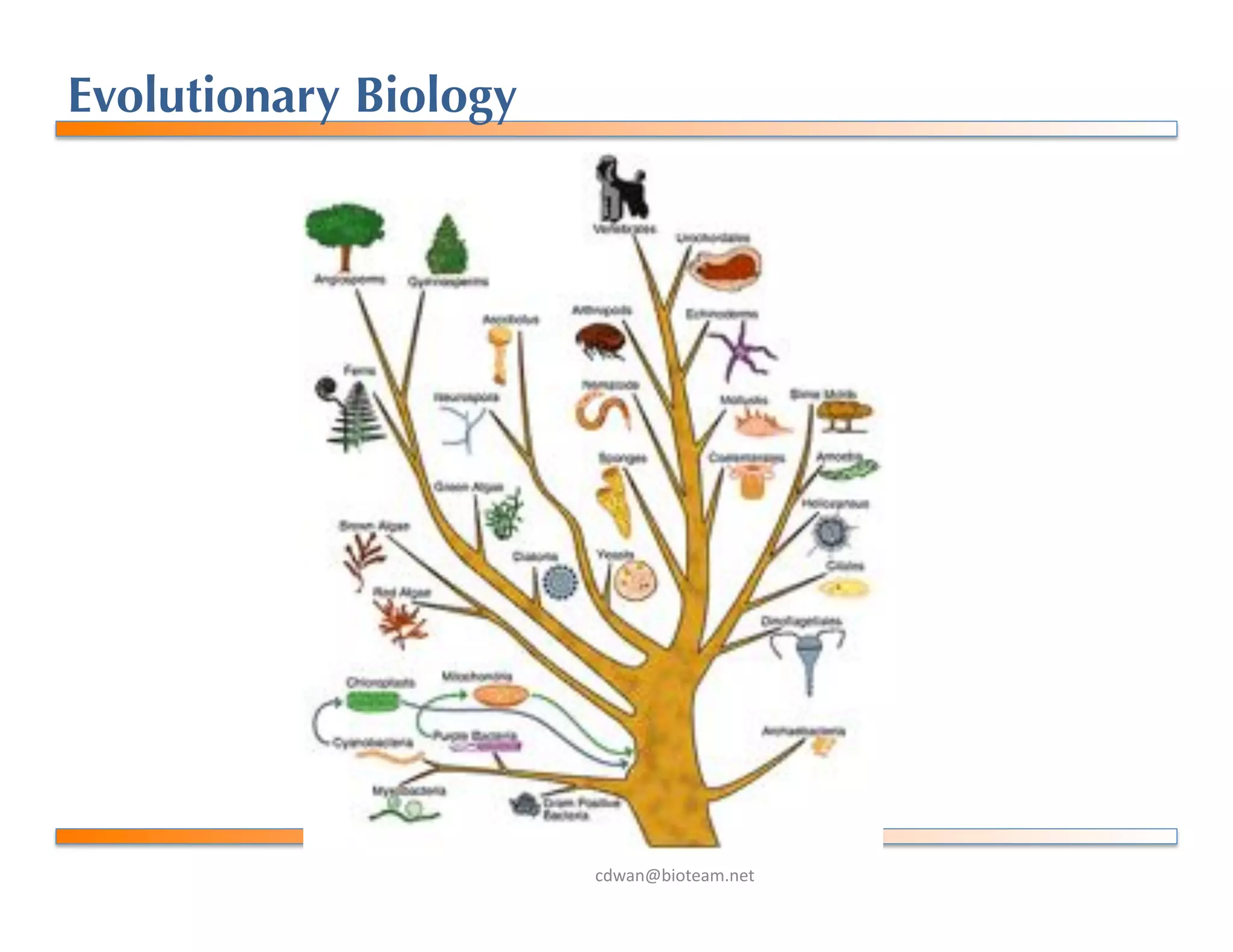 !"#$%&'()*+$,-%+*.
Evolutionary Biology
 