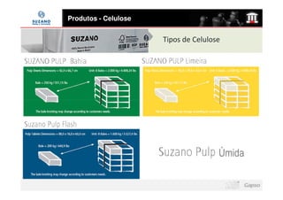 Produtos - Celulose


                      Tipos de Celulose




                                      Úmida
 