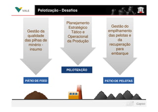 Pelotização - Desafios


                      Planejamento
                       Estratégico     Gestão do
 Gestão da               Tático e    empilhamento
 qualidade             Operacional   das pelotas e
das pilhas de         da Produção          da
  minério -                           recuperação
  insumo                                  para
                                       embarque
 