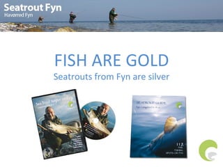 FISH ARE GOLD
Seatrouts from Fyn are silver
 