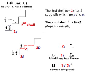 2nd  Term:  subshell - designated by s, p, d, f - designates the sub-energy level   within the shell.- refers to the shape(s) of the     volume of space in which the     electron can be located.n = 3n = 21sThe first shell (1) has one subshell (s).  The ssubshell has 1 spherical shaped orbitalorbitals are volumes of space where the probability of finding an electron is high