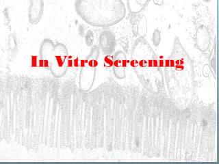In Vitro Screening
 