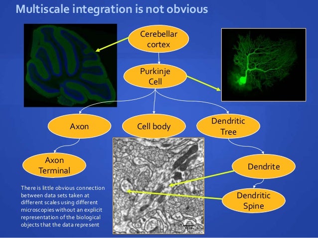 The Neuroscience Information FrameworkThe present and future of neur…