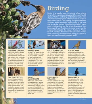 2011 Mesa Pocket Guide To The Sonoran Desert | PDF