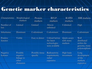 Genetic marker characteristics
CharacteristicsCharacteristics MorphologicalMorphological
markersmarkers
ProteinProtein
markersmarkers
RFLPRFLP
markersmarkers
RAPDRAPD
markersmarkers
SSR markersSSR markers
Number ofNumber of
lociloci
LimitedLimited LimitedLimited AlmostAlmost
unlimitedunlimited
UnlimitedUnlimited HighHigh
InheritanceInheritance DominantDominant CodominantCodominant CodominantCodominant DominantDominant CodominantCodominant
PositivePositive
featuresfeatures
VisibleVisible Easy to detectEasy to detect Utilized beforeUtilized before
the latestthe latest
technologiestechnologies
were availablewere available
Quick assaysQuick assays
with manywith many
markersmarkers
WellWell
distributeddistributed
within thewithin the
genome, manygenome, many
polymorphismpolymorphism
NegativeNegative
featuresfeatures
PossiblyPossibly
negativenegative
linkage tolinkage to
otherother
characterscharacters
Possibly tissuePossibly tissue
specificspecific
RadioactivityRadioactivity
requirements,requirements,
ratherrather
expensiveexpensive
High basicHigh basic
investmentinvestment
LongLong
developmentdevelopment
of theof the
markers,markers,
expensiveexpensive
 