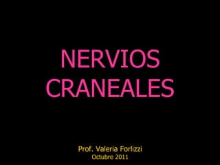 NERVIOS
CRANEALES

  Prof. Valeria Forlizzi
      Octubre 2011
 
