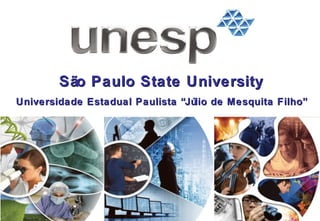 São Paulo State University Universidade Estadual Paulista “Júlio de Mesquita Filho” 