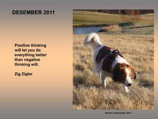 DESEMBER 2011




Positive thinking
will let you do
everything better
than negative
thinking will.

Zig Ziglar




                    Winnie in December 2011.
 
