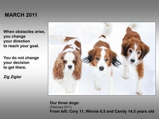 MARCH 2011


When obstacles arise,
you change
your direction
to reach your goal.

You do not change
your decision
to get there.

Zig Ziglar




                        Our three dogs:
                        (February 2011)
                        From left: Cory 11, Winnie 6,5 and Candy 14,5 years old
 