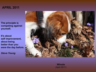 APRIL 2011



The principle is
competing against
yourself.


It’s about
self improvement,
about being
better than you
were the day before.

Steve Young



                        Winnie
                       (April 2011)
 