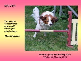MAI 2011




You have to
expect things
of yourself
before you
can do them.

-Michael Jordan




                  Winnie 7 years old 9th May 2011:
                     (Photo from 8th May 2011)
 