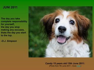 JUNI 2011


The day you take
complete responsibility
for yourself,
the day you stop
making any excuses,
thats the day you start
to the top.

-O.J. Simpson




                          Candy 15 years old 13th June 2011:
                             (Photo from 7th June 2011 - more here)
 