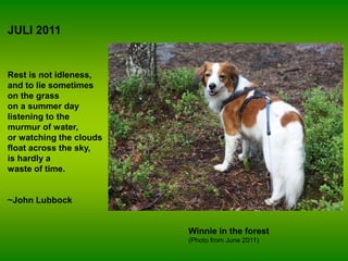 JULI 2011


Rest is not idleness,
and to lie sometimes
on the grass
on a summer day
listening to the
murmur of water,
or watching the clouds
float across the sky,
is hardly a
waste of time.


~John Lubbock


                         Winnie in the forest
                         (Photo from June 2011)
 