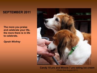 SEPTEMBER 2011



The more you praise
and celebrate your life,
the more there is in life
to celebrate.

Oprah Winfrey




                            Candy 15 yrs and Winnie 7 yrs eating ice cream
                                          (Photo from August 2011)
 