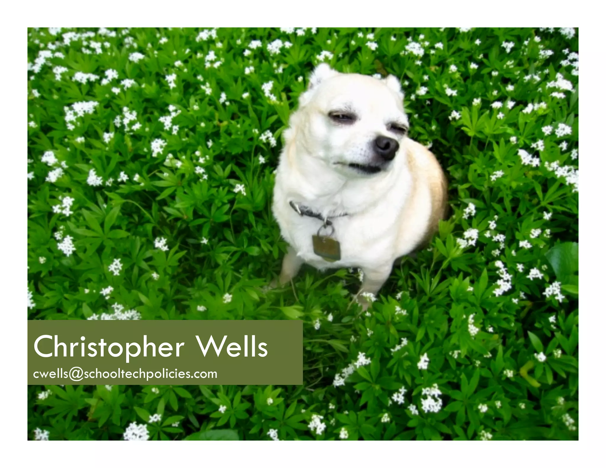 QuesIons?	
  




Christopher Wells
cwells@schooltechpolicies.com
 