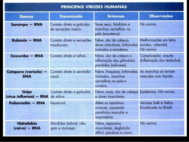 Resultado de imagem para IMAGENS DE viroses
