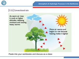 Atmospheric & Hydrologic Processes in the Rainforests




Paste into your workbooks and discuss as a class
 