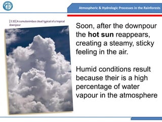 Atmospheric & Hydrologic Processes in the Rainforests




Soon, after the downpour
the hot sun reappears,
creating a steamy, sticky
feeling in the air.

Humid conditions result
because their is a high
percentage of water
vapour in the atmosphere
 