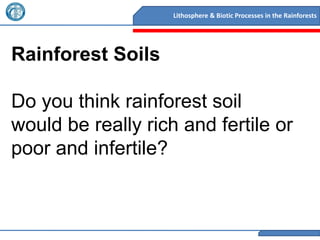 Lithosphere & Biotic Processes in the Rainforests




Rainforest Soils

Do you think rainforest soil
would be really rich and fertile or
poor and infertile?
 