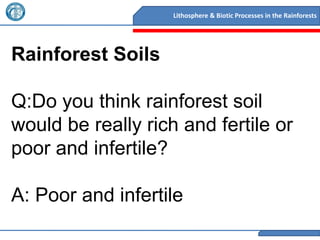Lithosphere & Biotic Processes in the Rainforests




Rainforest Soils

Q:Do you think rainforest soil
would be really rich and fertile or
poor and infertile?

A: Poor and infertile
 