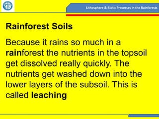 Lithosphere & Biotic Processes in the Rainforests




Rainforest Soils
Because it rains so much in a
rainforest the nutrients in the topsoil
get dissolved really quickly. The
nutrients get washed down into the
lower layers of the subsoil. This is
called leaching
 