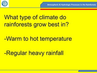 Atmospheric & Hydrologic Processes in the Rainforests




What type of climate do
rainforests grow best in?

-Warm to hot temperature

-Regular heavy rainfall
 