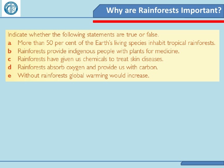 why are rainforests so important Why are rainforests important the rainforest is important for numerous reasons located between the equator 235 degrees north and south, rainforests have two seasons, rainy season and dry season. why are rainforests so important Why are rainforests important the rainforest is important for numerous reasons located between the equator 235 degrees north and south, rainforests have two seasons, rainy season and dry season.