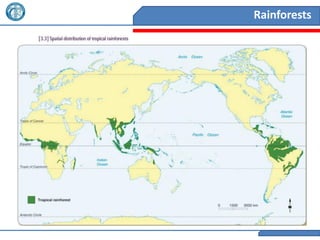 Rainforests
 