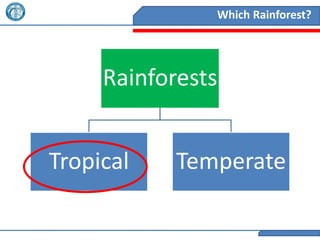 Which Rainforest?




     Rainforests


Tropical    Temperate
 