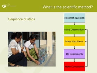 What is the scientific method? Sequence of steps 