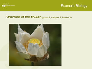 Example Biology Structure of the flower  (grade 8, chapter 3, lesson 8) 