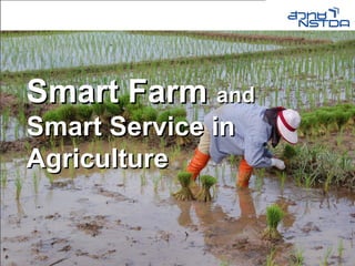 Smart Farm  and Smart Service in Agriculture 