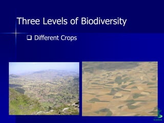 Participatory Plant Breeding, Biodiversity, Genetic Resources, Gender and Climate Changes