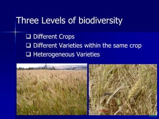 Participatory Plant Breeding, Biodiversity, Genetic Resources, Gender and Climate Changes